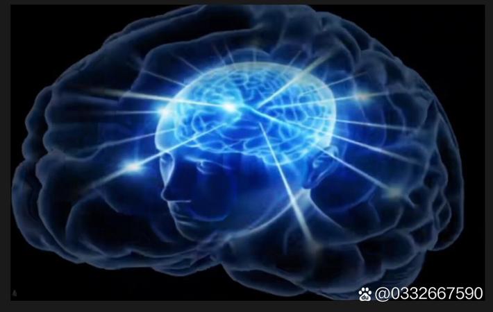 追踪：某艺人税务风波持续发酵，关联公司被查封